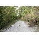Properties for Sale_FARMHOUSE TO BE RESTORED FOR SALE IN MONTEFIORE DELL'ASO, IMMERSED IN THE ROLLING HILLS OF THE MARCHE , in the Marche region of Italy in Le Marche_17